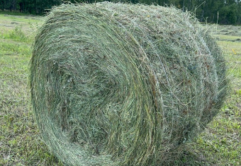 пресс_подборщик_рулонный_Galleon_BR150_УНИСИБМАШ_фото_19