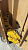 Гусеница Liebherr PR-734-4LGP (44 зв., 812мм, P=203, зам.болт, М20*65) 11651903